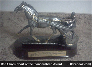 A Winner Against All Odds
