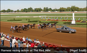 Stars Out At The Red Mile Sunday