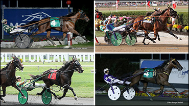 Star Sophomores Set For Bluegrass