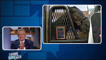 Regis Meets Regis The Horse