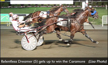 Big Crowd Attends 'Cameltonian'