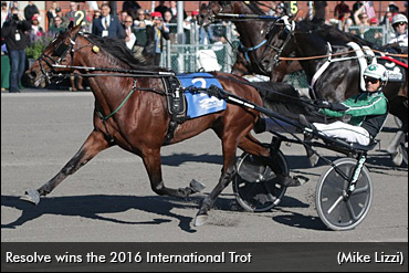 International Trot To Resolve