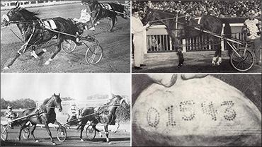 SC Rewind: When Aged Horses Raced