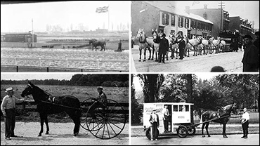 SC Rewind: When Horse Was King