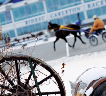 Ontario's Best Kept Secret