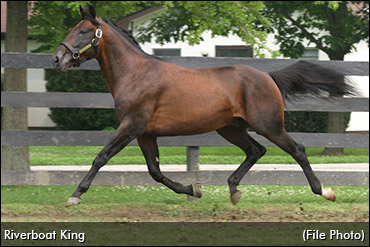 Riverboat King To Alberta