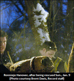 S-Bred Rescued At Centre Wellington Farm