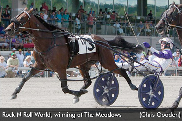 Spring Mixed Sale Complete