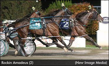 Rockin Amadeus Returns