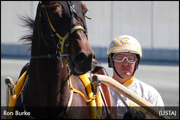 Trainers To Select French Trotters