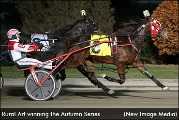 Stakes Winner Rural Art Sold