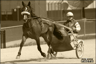 More Two-Year-Olds In Training 