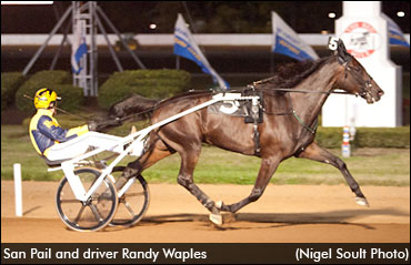 San Pail Takes Allerage Trot