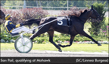 San Pail Back In; Ownership Change On Warrawee Needy