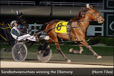 Sandbetweenurtoes Repeats In Ellamony