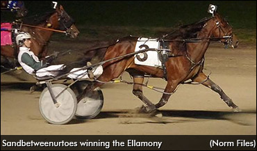 Ellamony To Sandbetweenurtoes