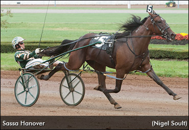 World Record For Sassa Hanover