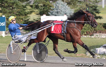 In Free Sweep For Hollsten’s Troops 