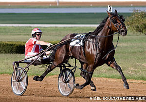 'Beach' Voted U.S. Horse Of The Year