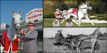 SC Rewind: Many Shades Of Grey