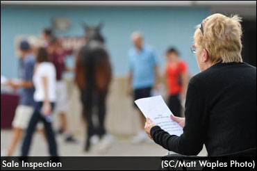 Summer Sizzler Entries Due Today