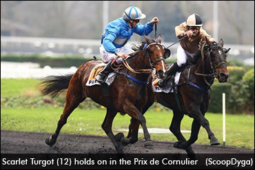 Mare Wins Richest Monte Trot