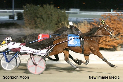 Favourites Falter In Glorys Comet Opener