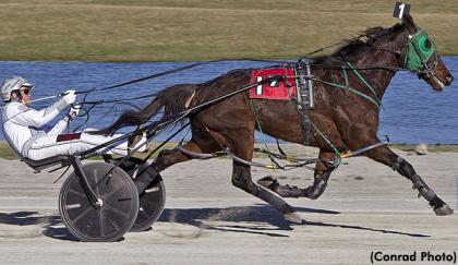 Screamin Seaman A Sails Away A Winner