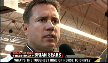 Toughest Horses To Drive?