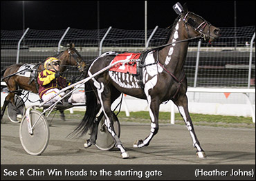 Harness Racing's Spookiest Horse?