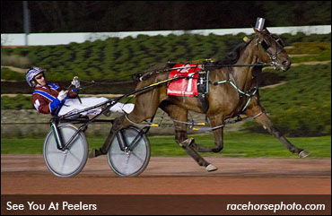 Team Takter Invades Meadowlands