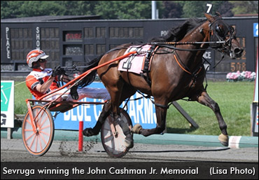 Top Trotter Recovering From Surgery