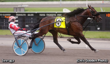Sevruga Smashes Stakes Record 