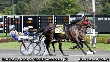 Shacked Up Scores By A Schnoz