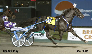 Shadow Play Stud Details Imminent