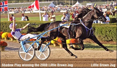 Shadow Play Passes On Bye