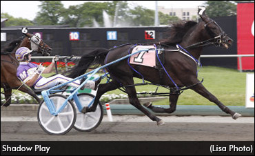 Shadow Play's Money Back Guarantee