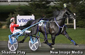 Shadow Play Solid In Debut