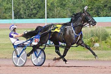 Moore High On Shadow Play's Jug Chances