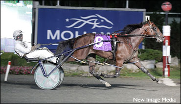 North America Cup Spring Book - #2