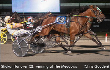 Shakai Hanover Sold