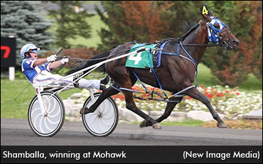 Shamballa Headlines Potomac Pace