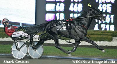 Shark Gesture Returns, Stars Qualify