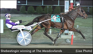 Shebestingin Returns