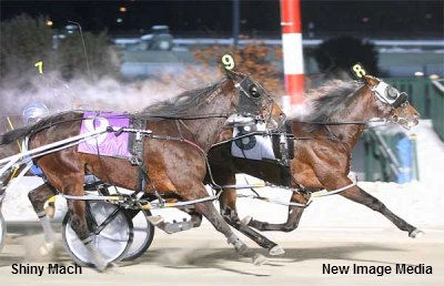 Shiny Mach Scores In A Snowshoe Shocker