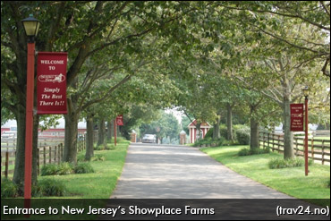 Fallout From Closure Of Showplace