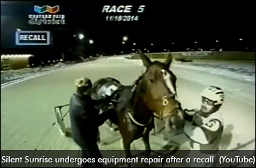 One Very Well-Behaved Filly