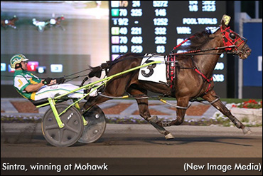 Sintra Adds New Owners