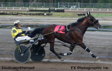 Tainsh Achieves Milestone; Sixdaysontheroad Shines