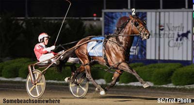 Woolnough No Longer At Colonial